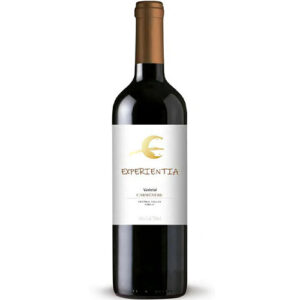 Vinho Experientia Carmenere 750ml