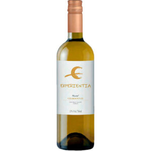 Vinho Experientia Chardonnay 750ml