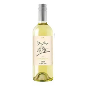 Vinho Gran Amigo Sauvinon Blanc 375ml